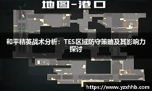 和平精英战术分析：TES区域防守策略及其影响力探讨